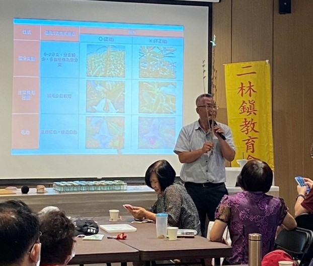 这是一张图片 这是一张图片