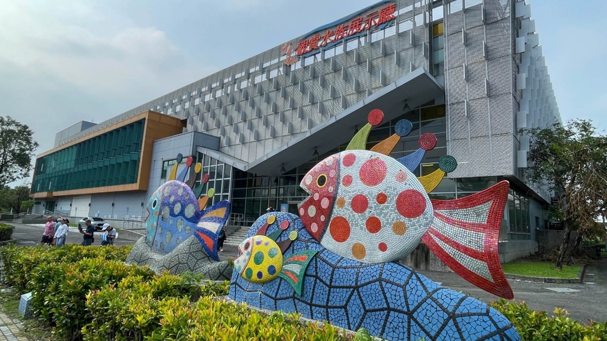 这是一张图片 这是一张图片